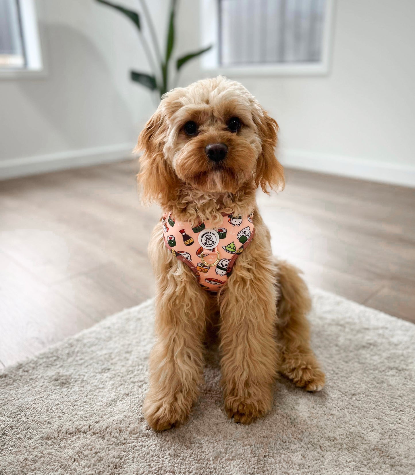 'Sushi Shenanigans' Harness