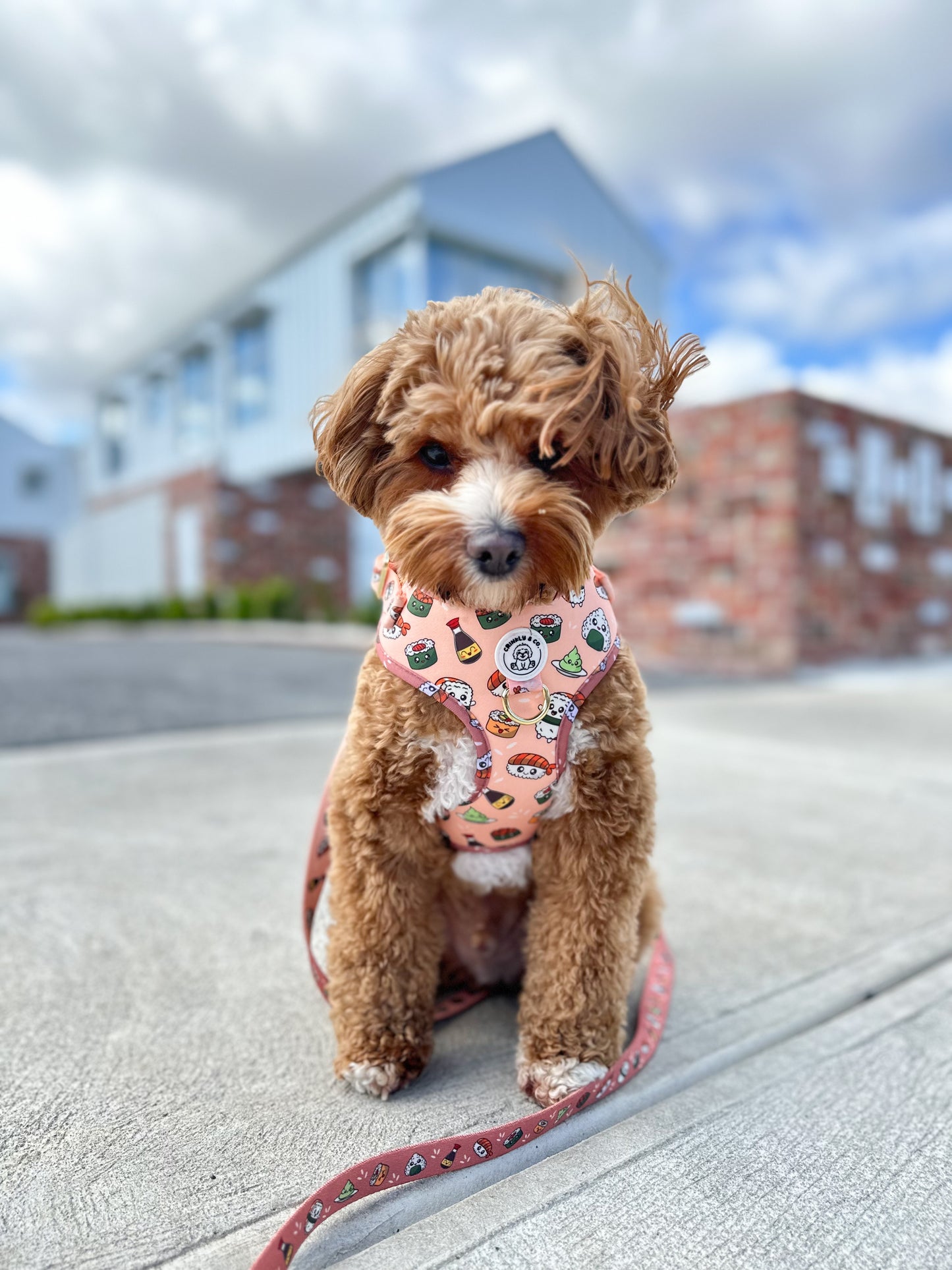 'Sushi Shenanigans' Harness