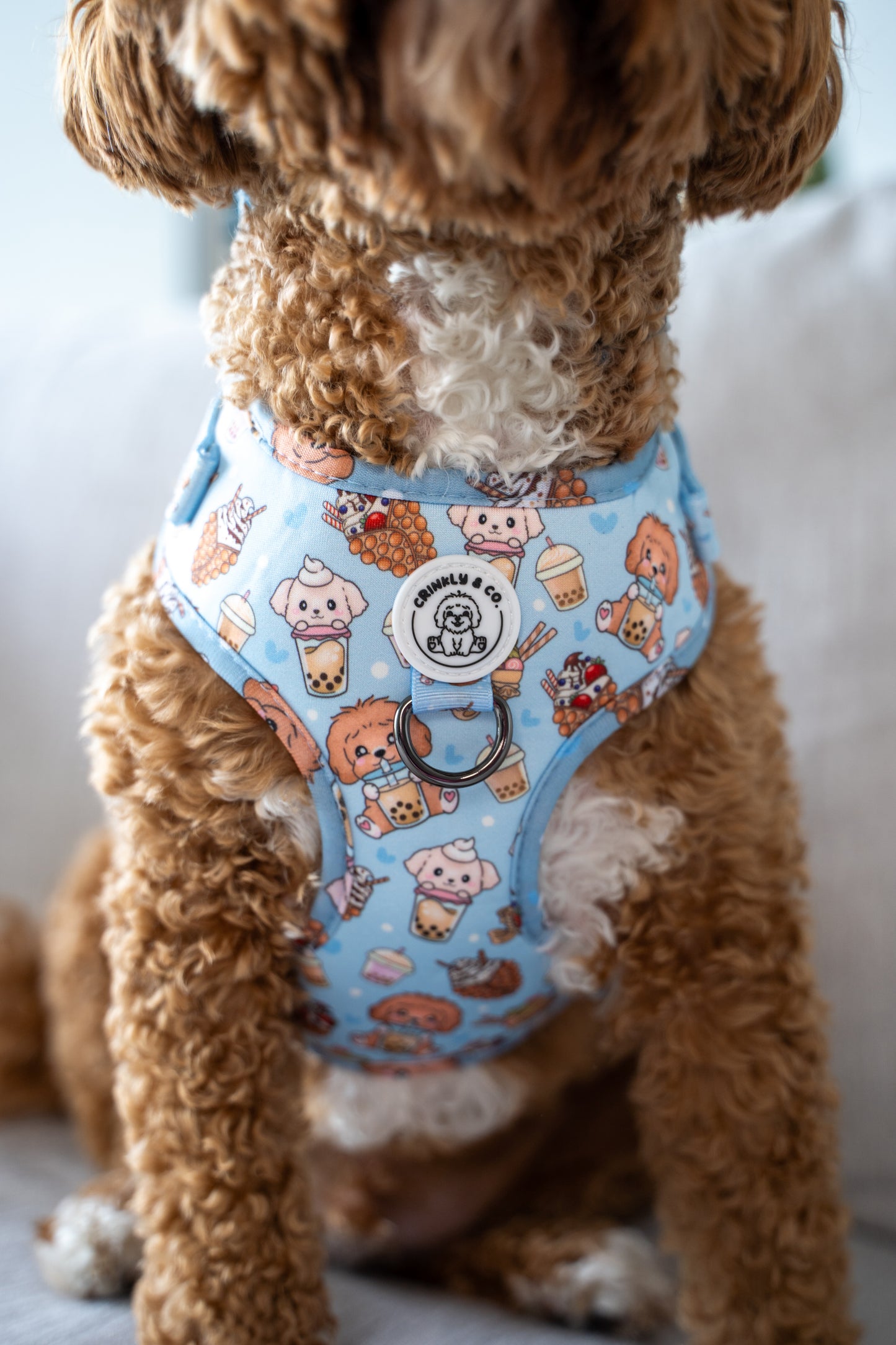 'Woof and Sip Boba' Harness